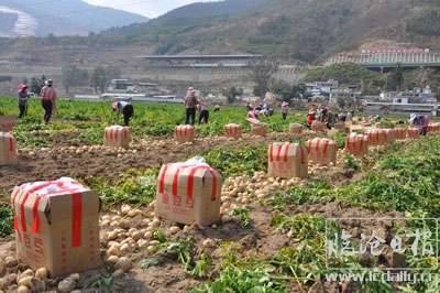 20210308153845q7mzsw---副本.jpg