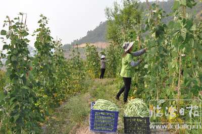202104121517560a3kuf---副本.jpg