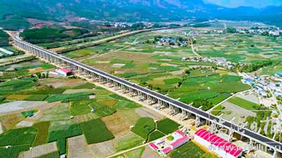 魏江跃-(6).jpg