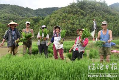 20210605201101codeme---副本.jpg