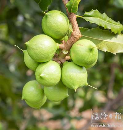 1654963639457353.jpg 赵海军摄.jpg