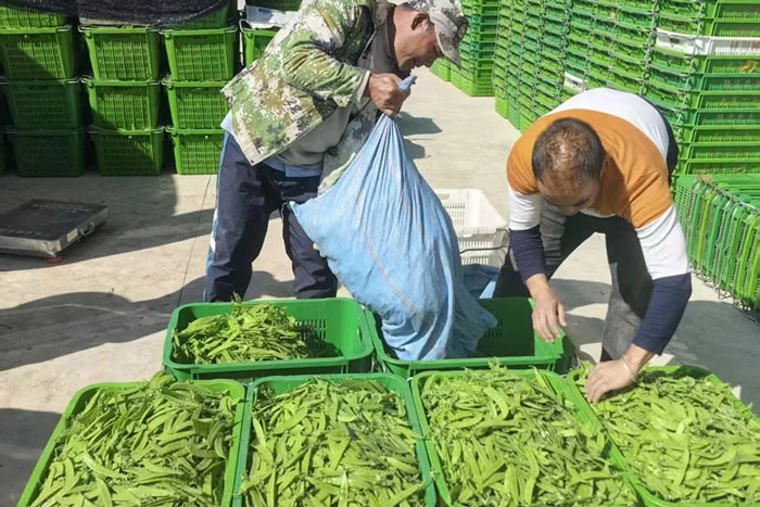 王鑫滢.jpg