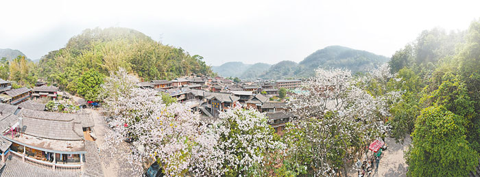 那柯里--（王承吉摄）-(3).jpg